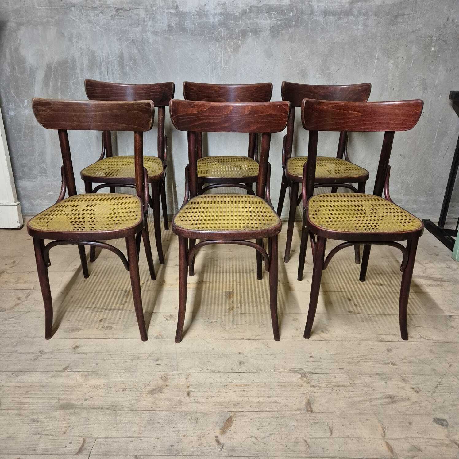 Set Of 6 Dining Chairs, Thonet Style, 1960s, Czechoslovakia