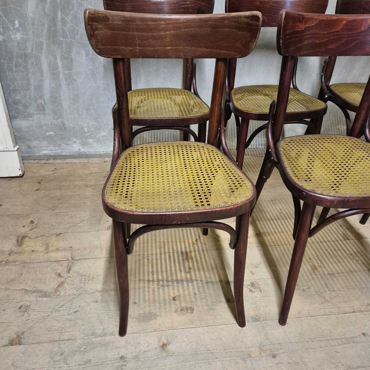 photo for sale Set Of 6 Dining Chairs, Thonet Style, 1960s, Czechoslovakia