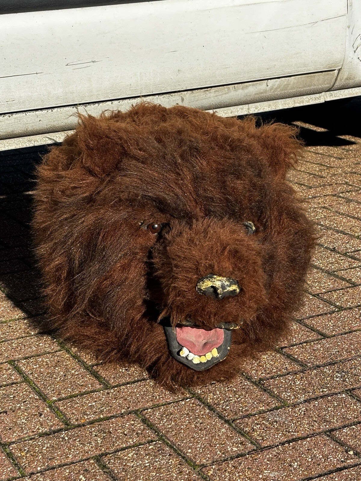 Shop Display Full Size Grizzly Bears Head (This Is Not A Real Bears Head) photo Art