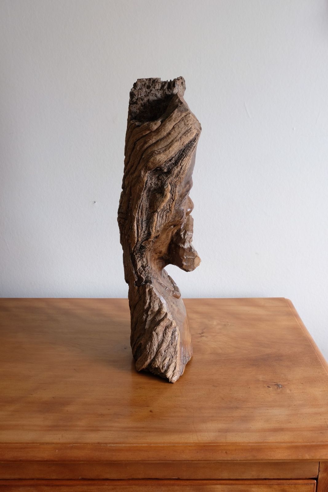 600.0 Makonde Root Wood Bust – Tribal Elder Portrait Sculpture photo