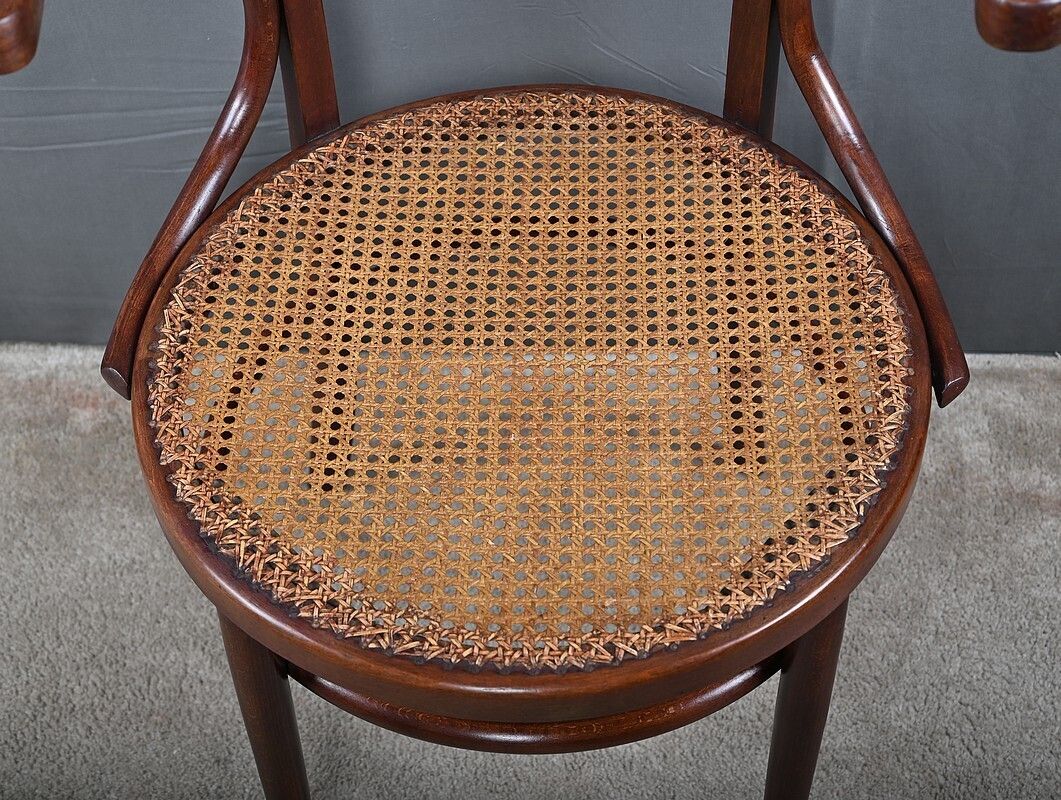Armchair In Bent Beechwood, Maison Baumann – Early 20th Century photo vintage