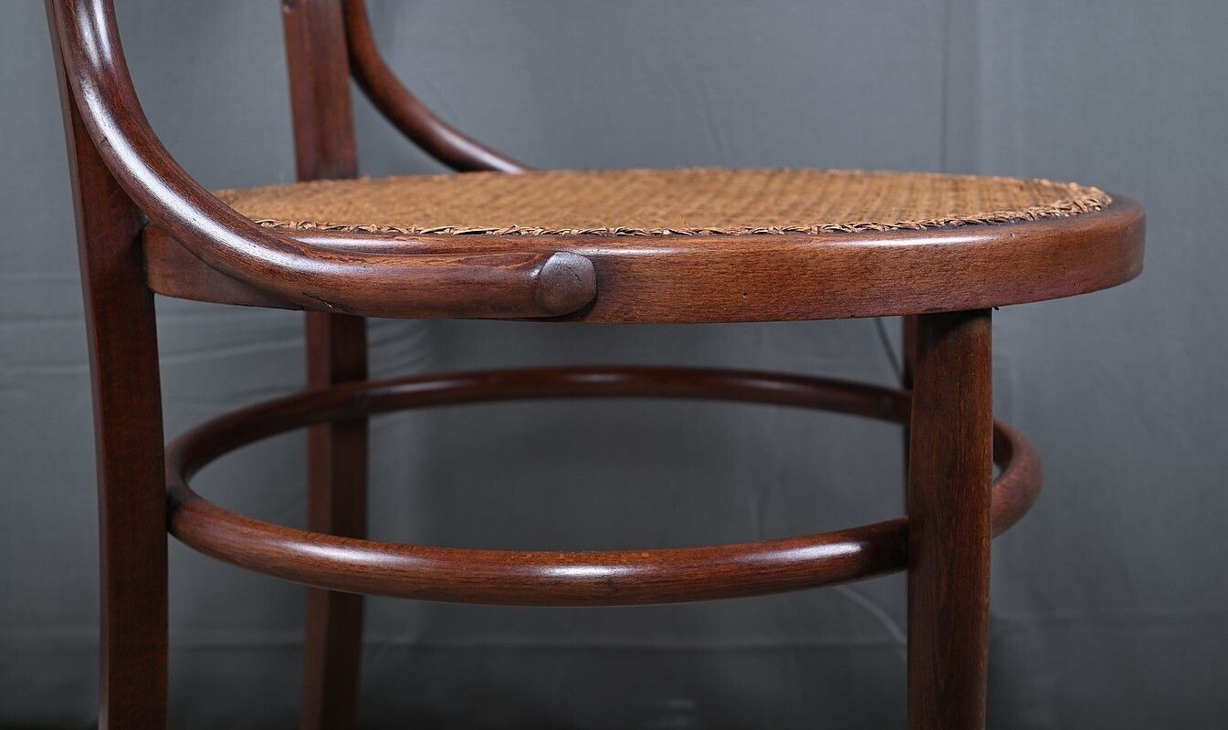 1110.0 Armchair In Bent Beechwood, Maison Baumann – Early 20th Century photo