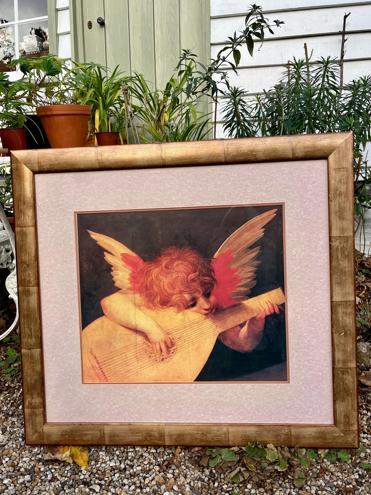 Vintage Large Framed Print Of Angel Playing Lute An Oil On Wood By Rosso Fiorentino Circa 1571 photo Art