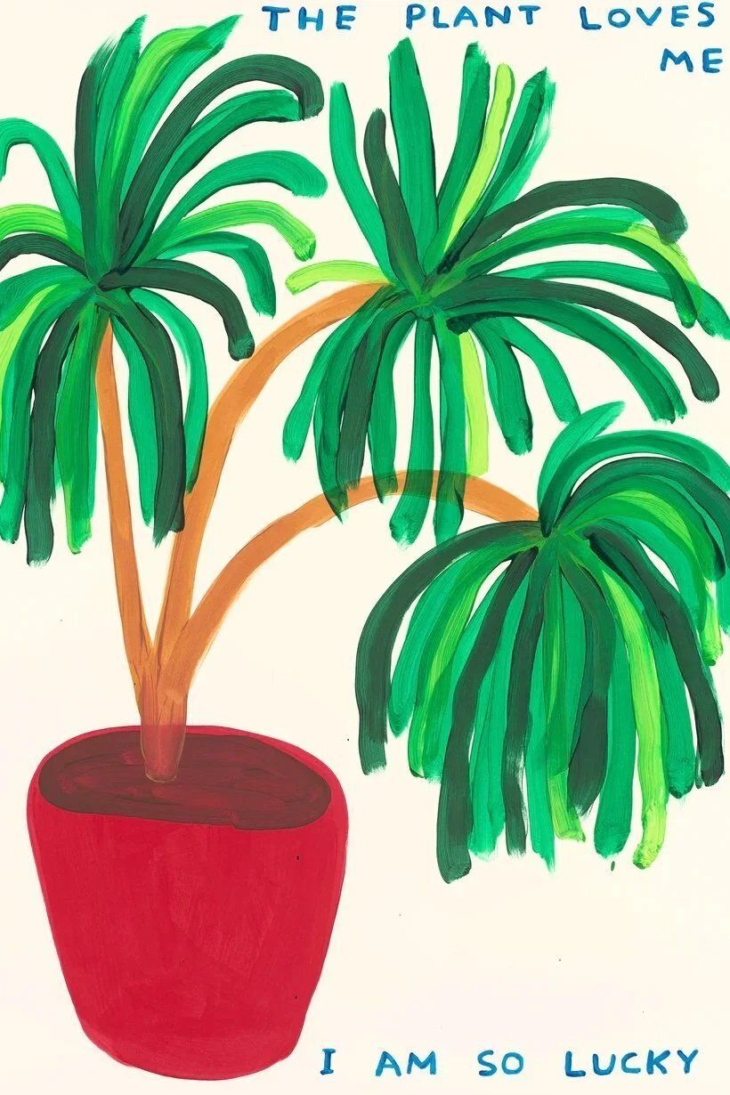 David Shrigley ‘The Plant Loves Me’