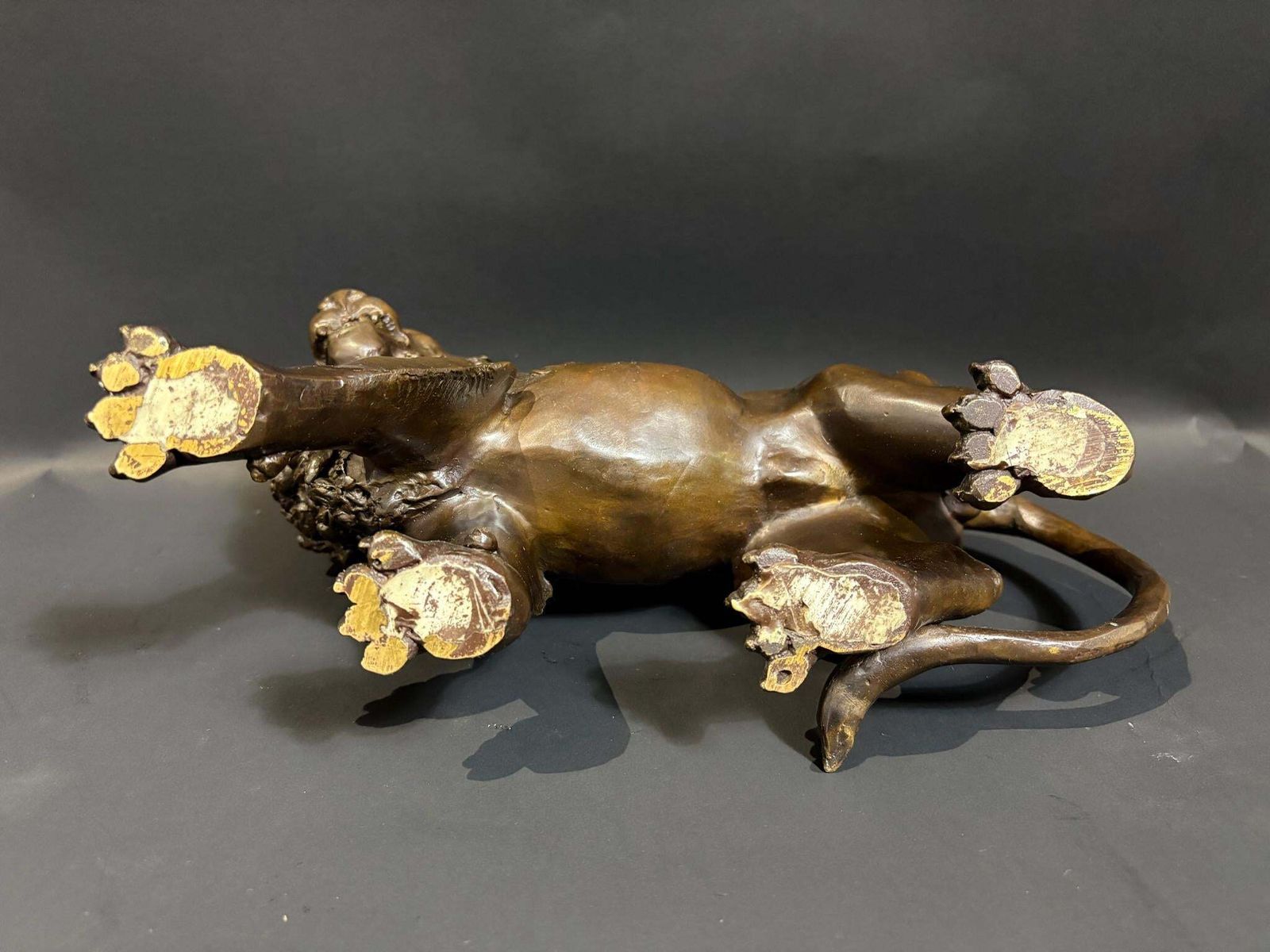 Patinated Bronze “Medici” Lion, 32 Cm – Mid‑20th Century Italian photo Art