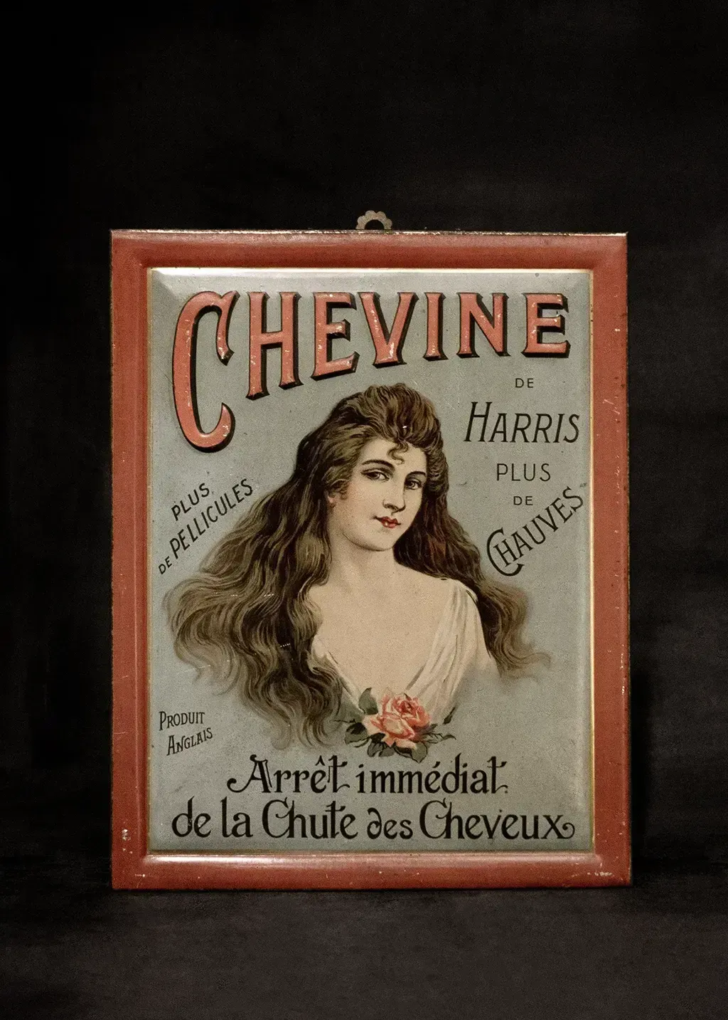 Plaque publicitaire lithographiée « Chevine De Harris » - Art Nouveau, 1910 photo for sale