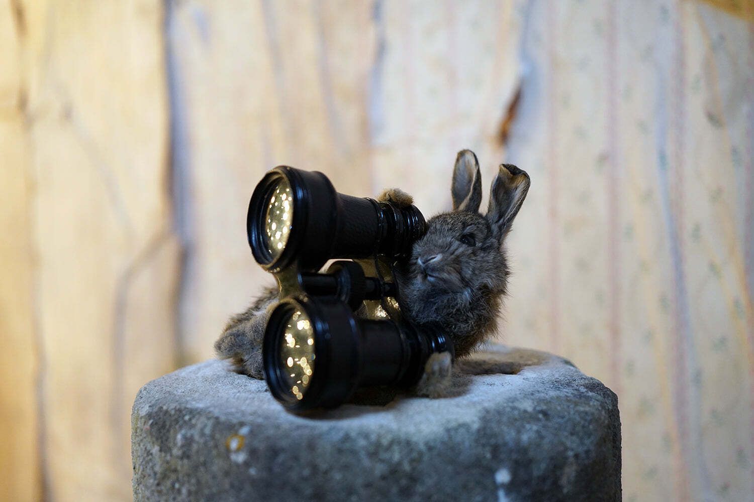 Doe & Hope X Hannah Matthews; Act VIII; Unique photo furniture