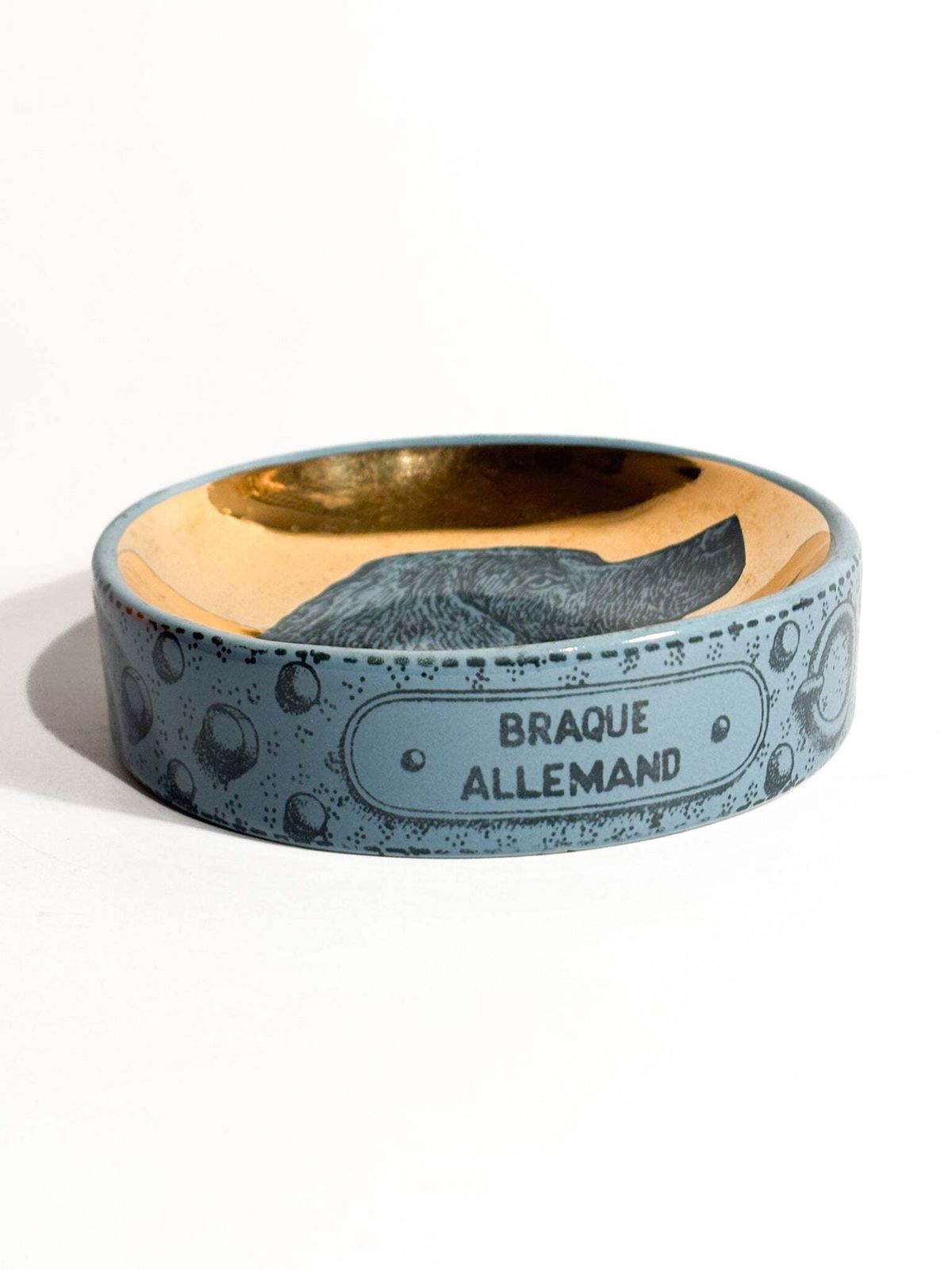 "Braque Allemand" Ceramic Dog Bowl By Piero Fornasetti, 1960s photo for sale
