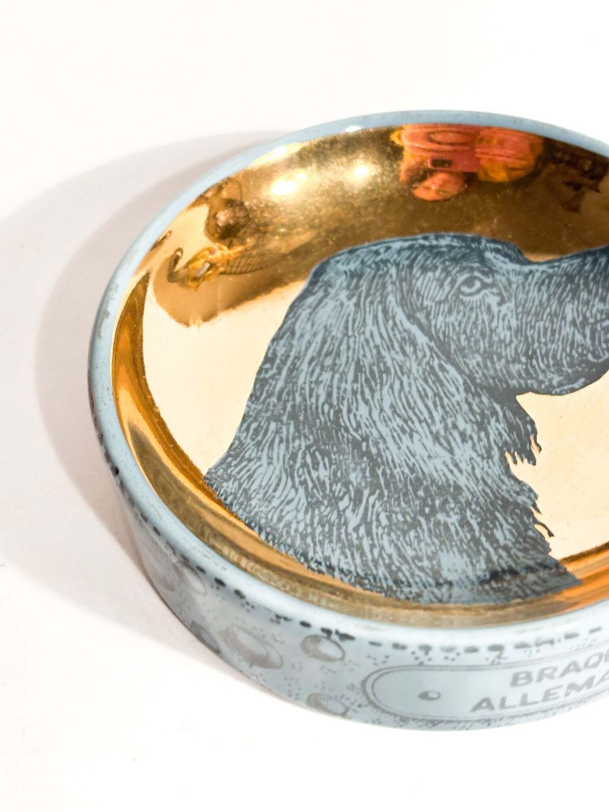 "Braque Allemand" Ceramic Dog Bowl By Piero Fornasetti, 1960s photo vinterior