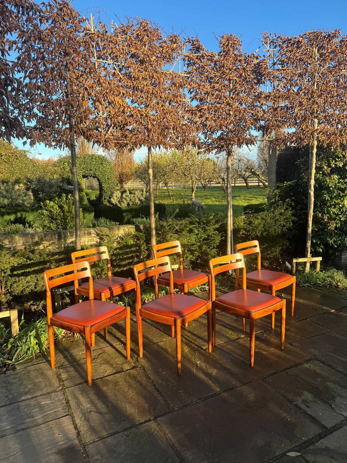 Eight Rosewood Dining Chairs By H W Klein For Bramin Danish 1960 photo 5500.0