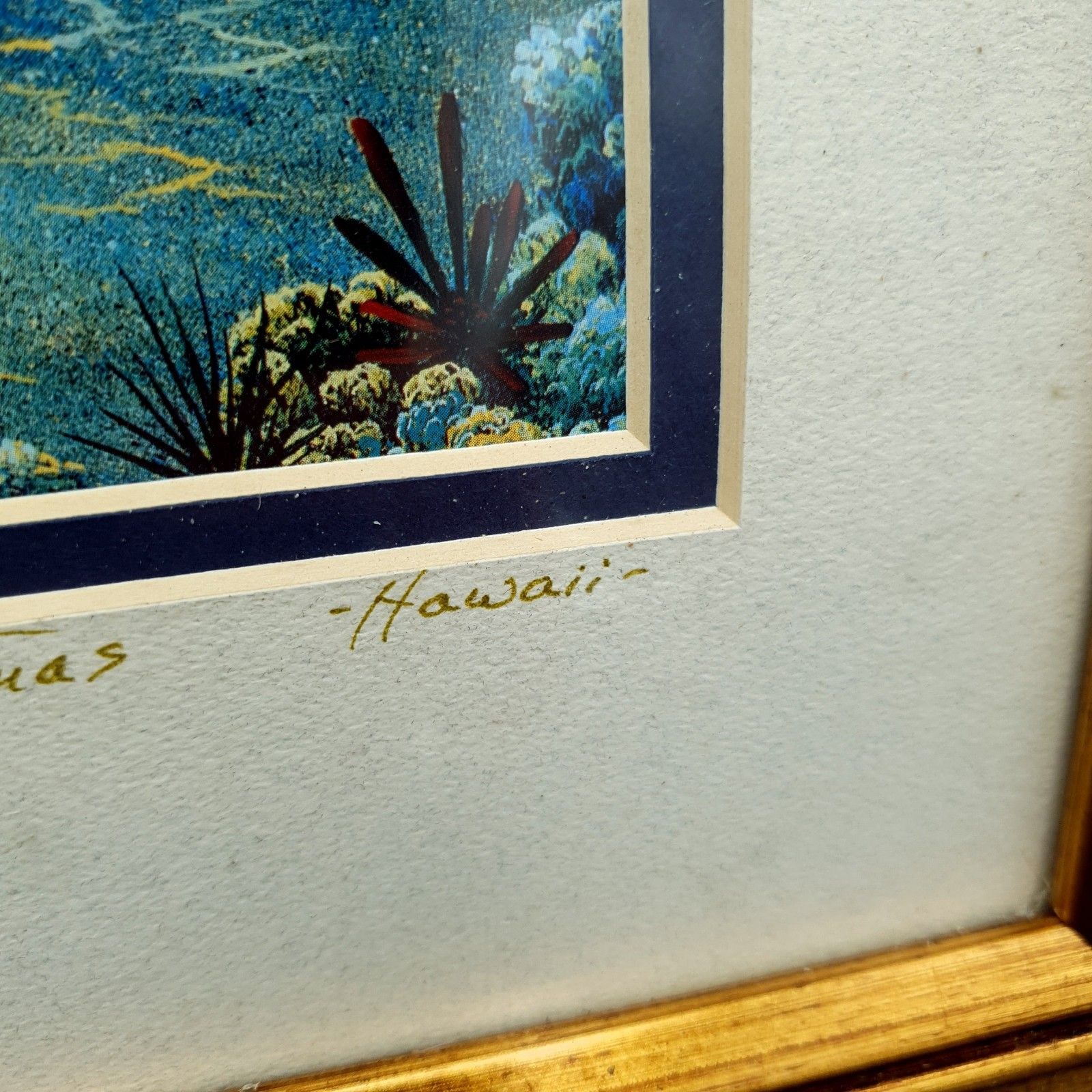 photo for sale Robert Thomas Print Turtle & Ocean Reef Scene Hawaii Distressed Gold Tone Frame