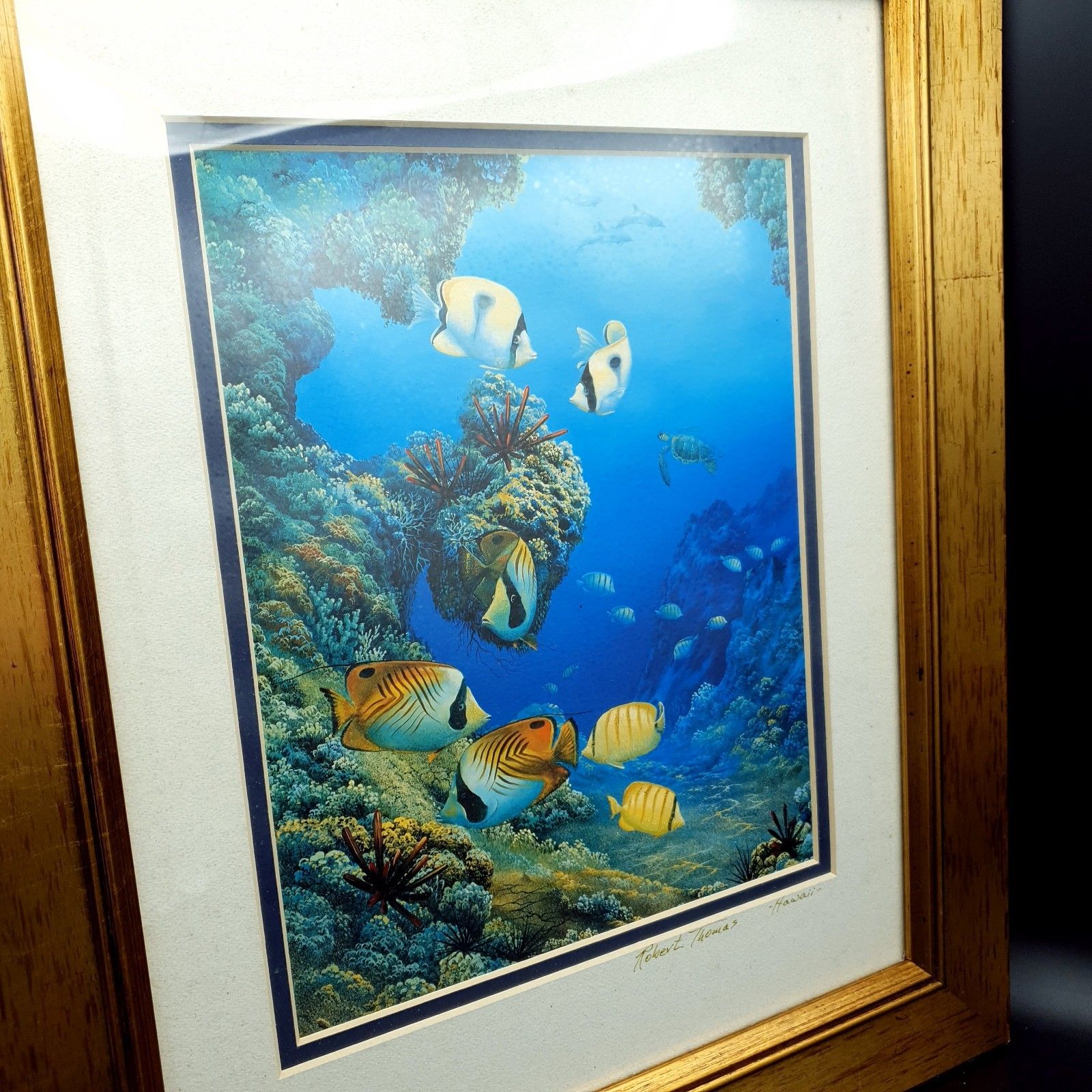 200.0 Robert Thomas Print Turtle & Ocean Reef Scene Hawaii Distressed Gold Tone Frame photo