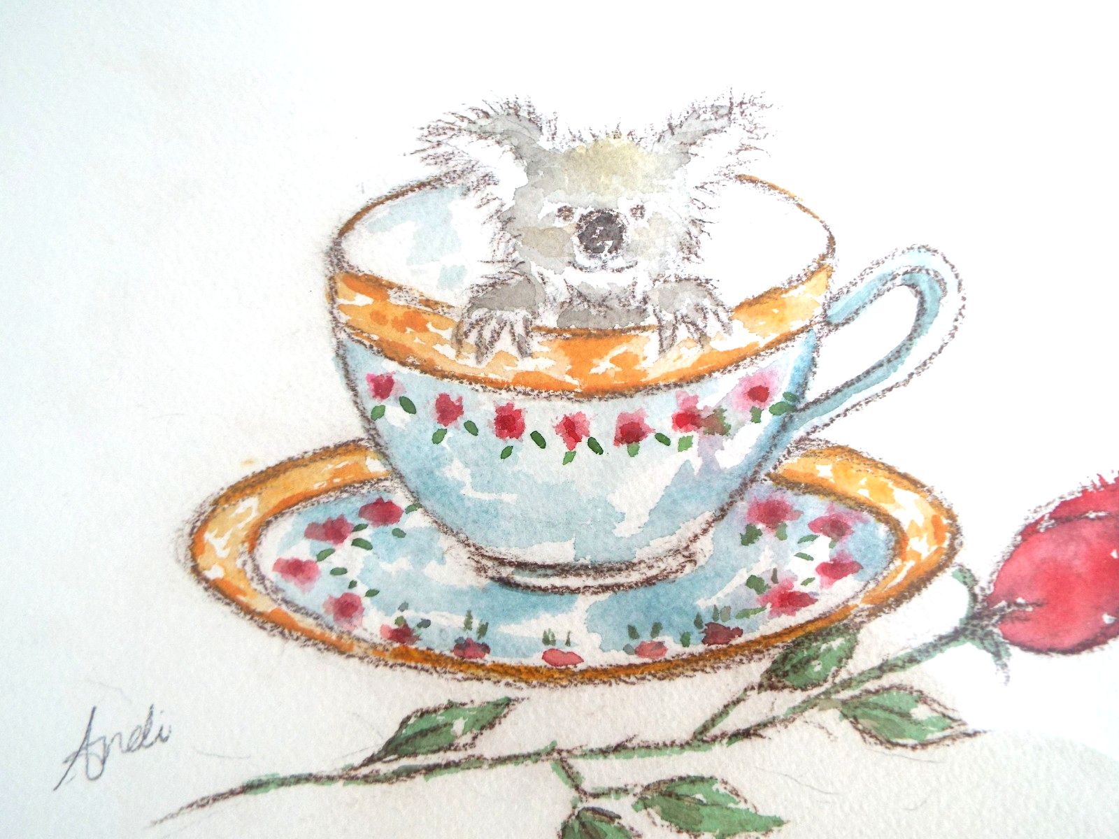 Cute  Mini Koala Llustration Original  Framed Watercolour Painting Andi Lucas photo 125.0