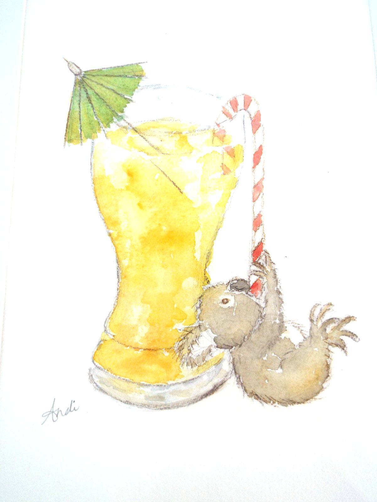 Cute  Mini Koala Llustration Original  Framed Watercolour Painting Andi Lucas photo for sale
