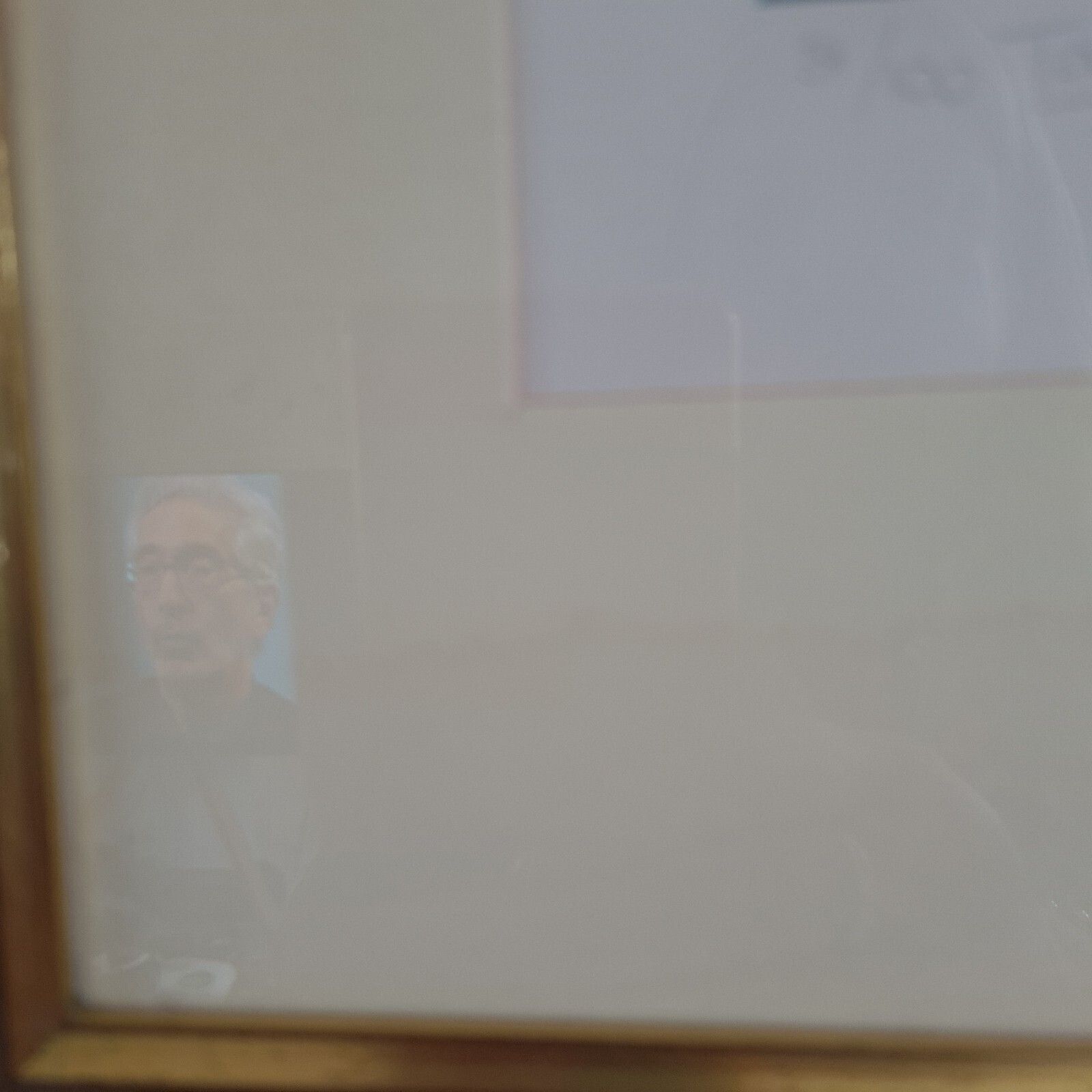 photo vinterior Phil Turner Signed Print 'Tawny' Owl Limited Edition 31/100 Framed 1982