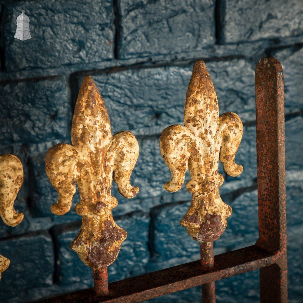 Iron Gate With Decorative Finials photo for sale