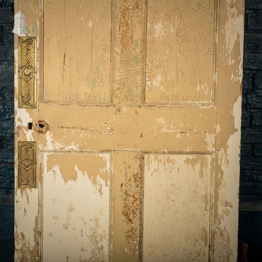 Home Fixtures Moulded 6 Panel Door, Traditional photo