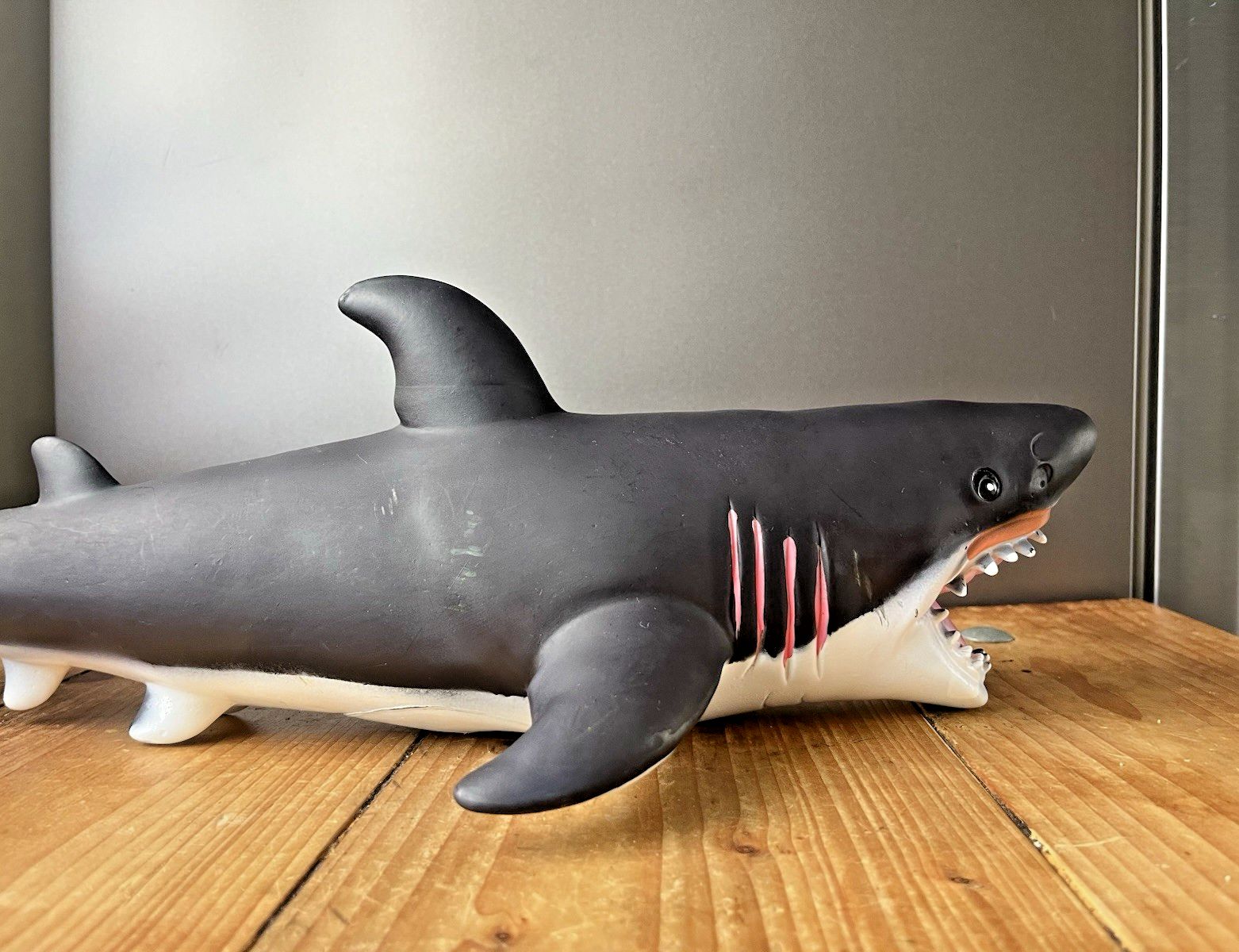 50.0 Large 20" Vintage Fast Champ Ind Ltd Hongkong Rubber Great White Shark Jaws Prop photo