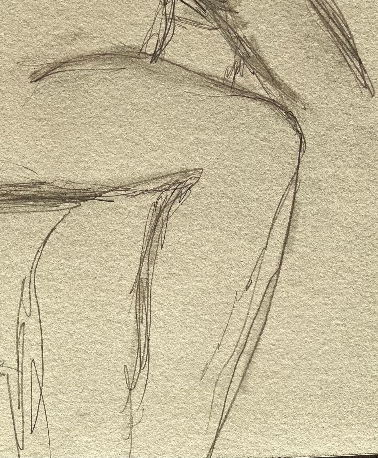 Minty Ramseyseated Back View Nude Female Figure Minimalist Pencil Contemporary Life Drawing2025 photo for sale