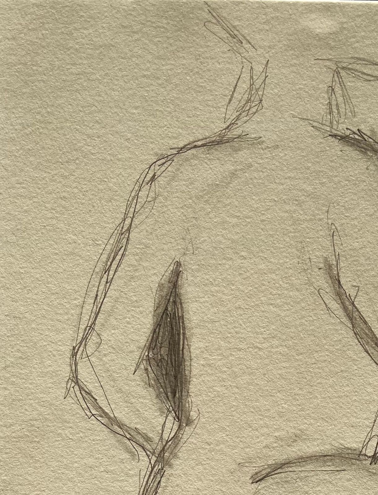 Minty Ramseyseated Back View Nude Female Figure Minimalist Pencil Contemporary Life Drawing2025 photo vinterior