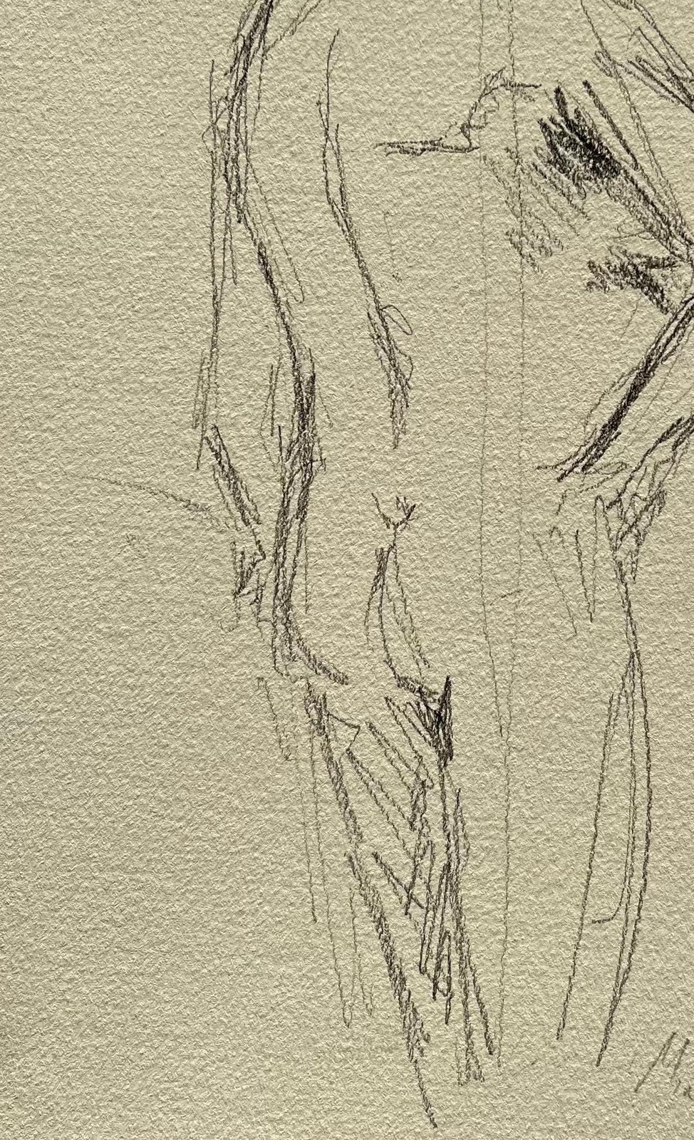 Minty Ramseyturning Nude Male Figure Sketch In Pencil On Paper2025 photo vinterior