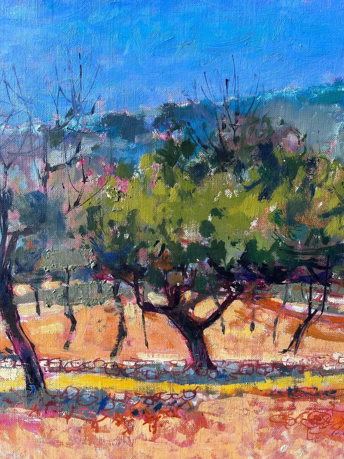 Pierre Neveusunlit Olive Grove With Hilltop Village In Vibrant French Countryside photo 733.0