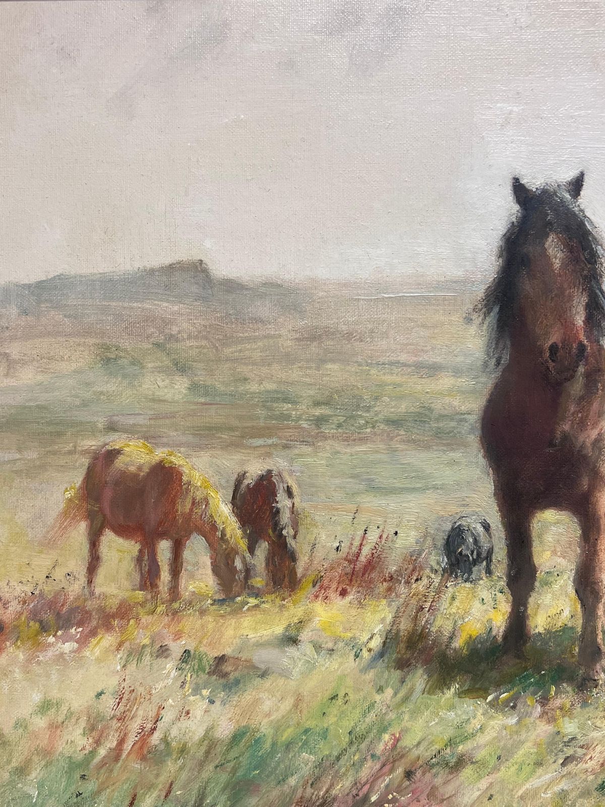 English School Dartmoor Ponies On Moor Landscape Fine English 1950's Impressionist Oil Painting photo 1425.0