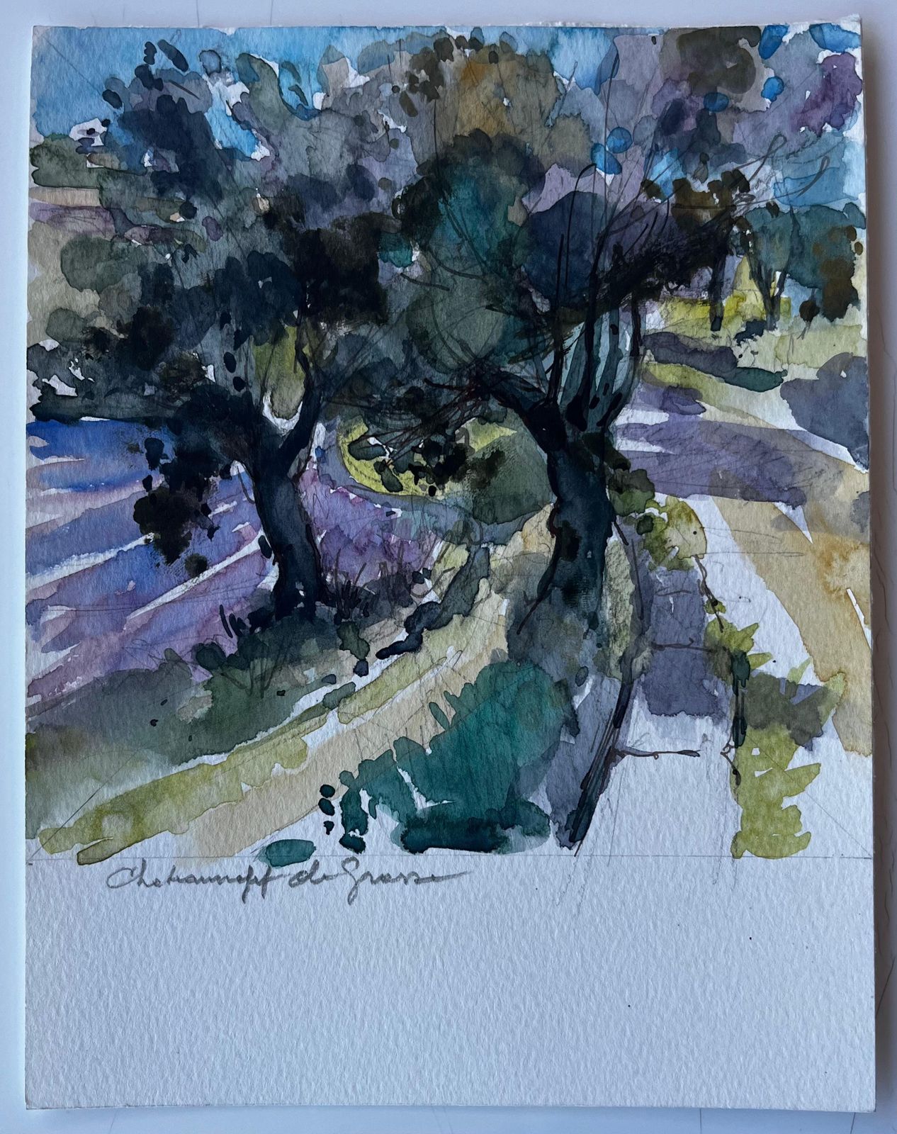 Pierre Neveuchamps De Grasse Provence Landscape French Post Impressionist Watercolour photo 571.0