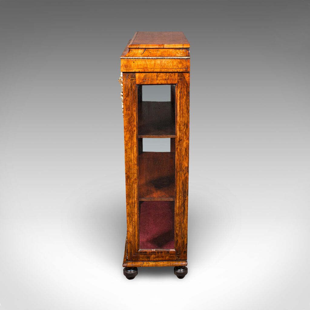 Antique Pier Cabinet English Walnut Glazed Display Bookcase Victorian 1860 photo buy