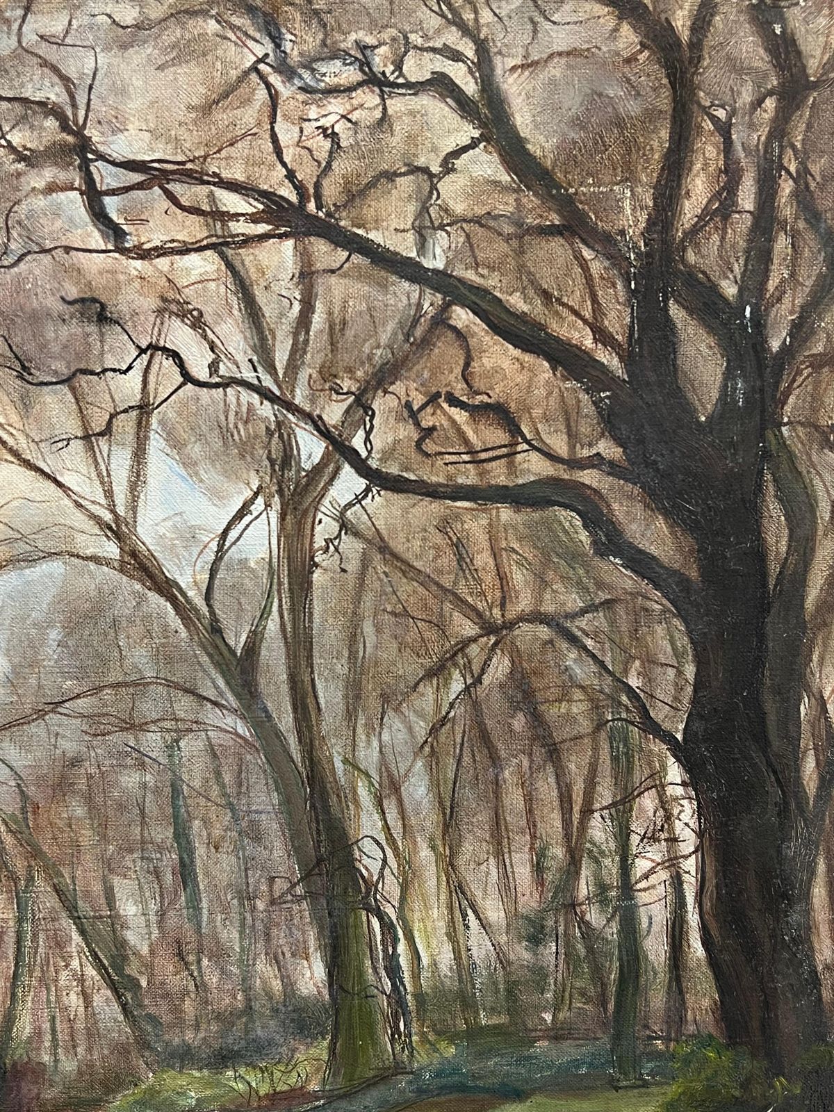 French Schoolwoodland In Early Spring Green Sunlight 1930's French Impressionist Oil1930's photo for sale