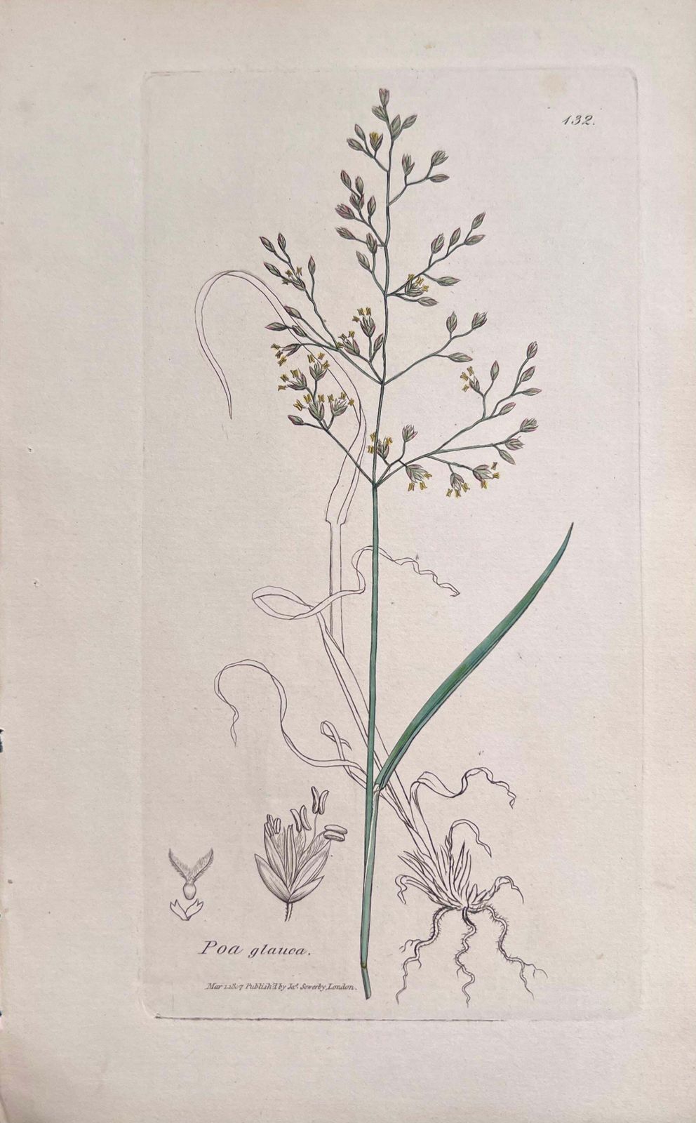 Unknownset Of Six Fine Antique British Hand Coloured Botanical Prints, Circa 1900'searly Mid 19th Century photo furniture