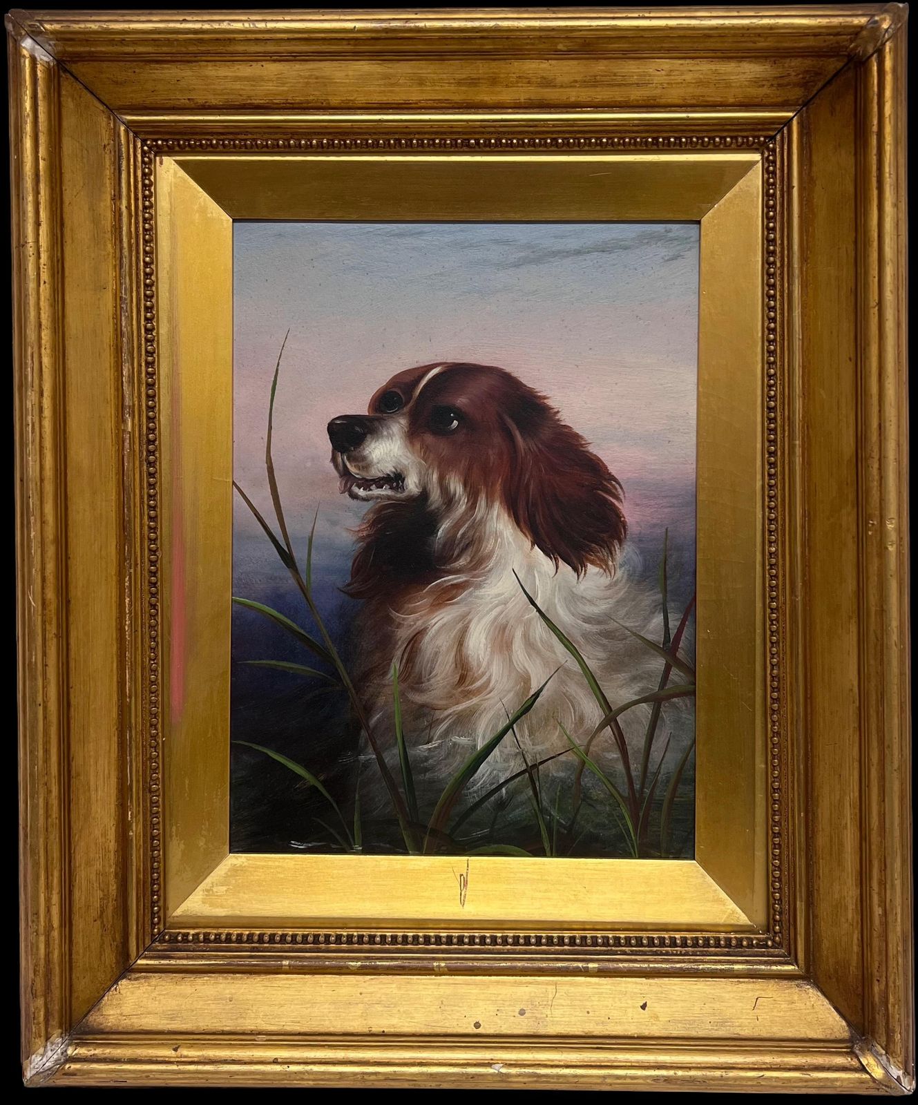 19th Century English Schoolantique English 19th Century Victorian Oil Painting Head Portrait Of Spaniel Dog