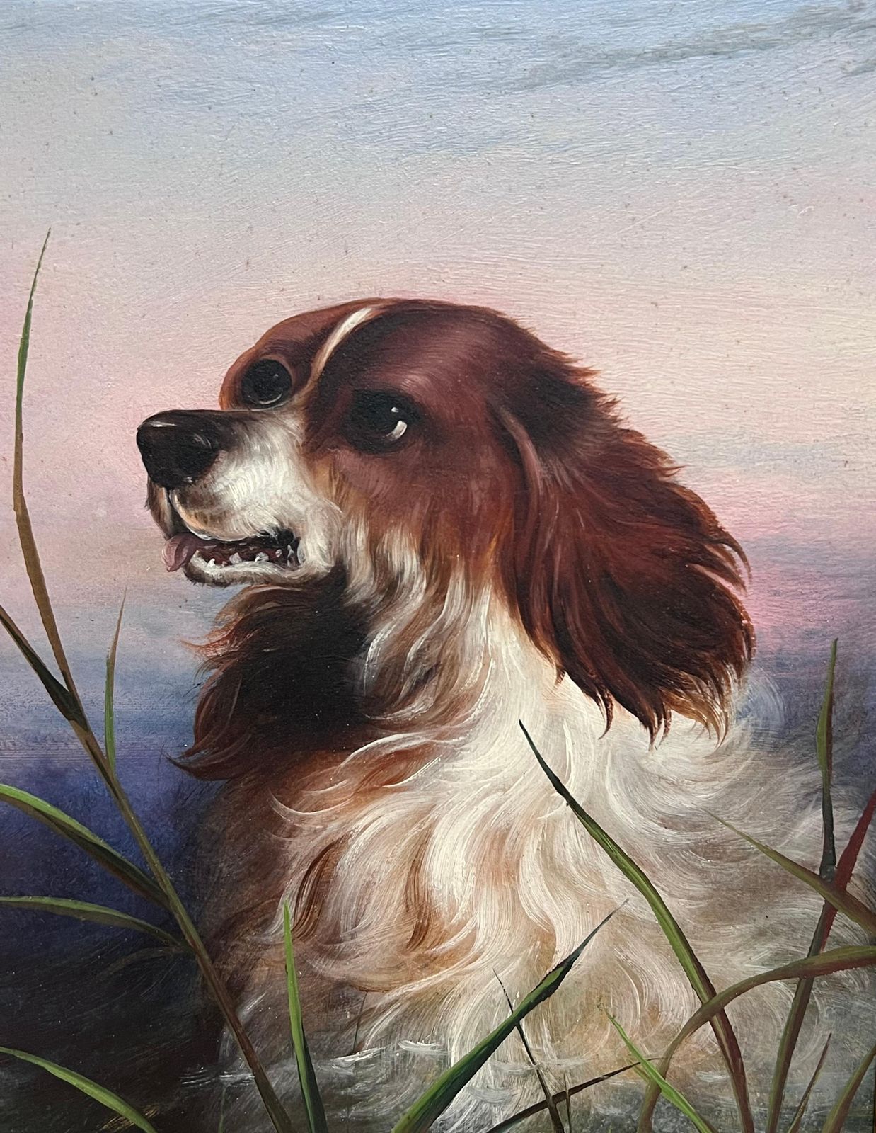 19th Century English Schoolantique English 19th Century Victorian Oil Painting Head Portrait Of Spaniel Dog photo furniture