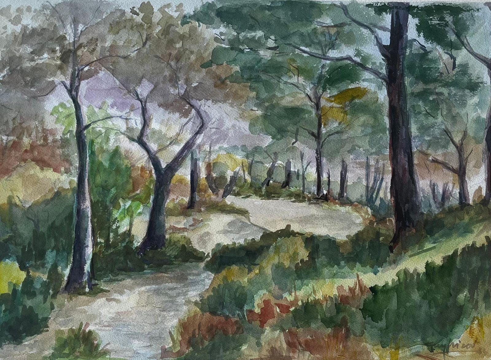 Guy Nicodwoodland Path Among Pines Provence French Landscape Gouache