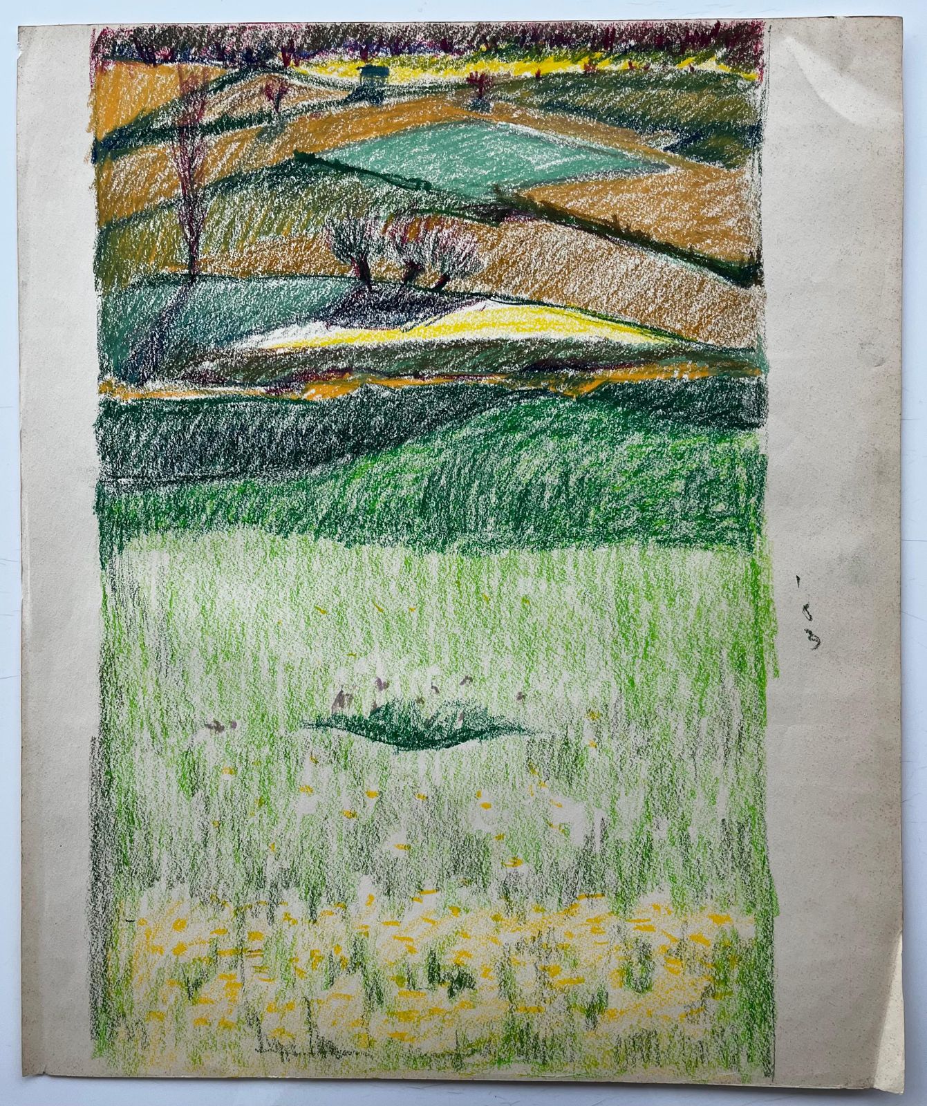 Guy Nicodfrench Rolling Hills With Meadows And Wildflowers Pastel Landscape Drawing photo furniture