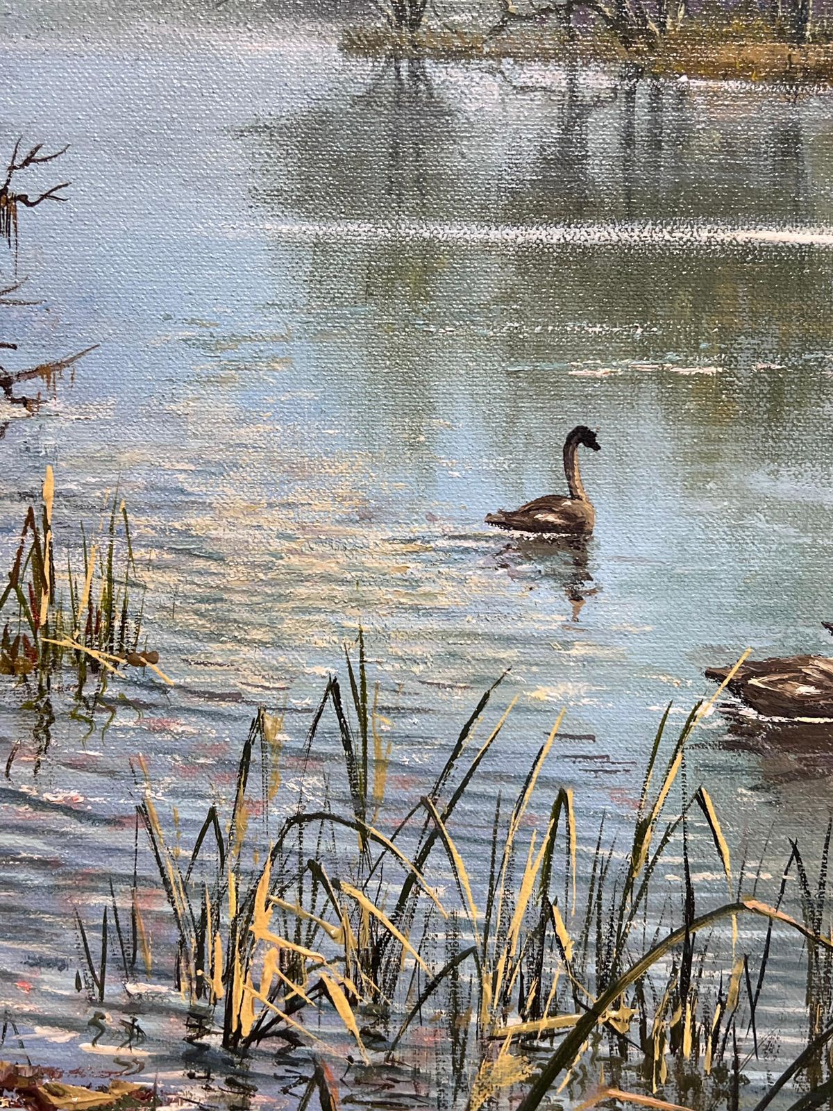 Don Vaughanlarge Traditional English Summer River Landscape Oil Painting Swans Cygnets photo 1522.0