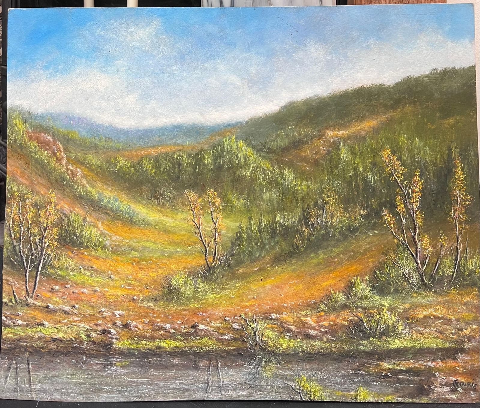 Jean Fourieautumnal Green And Orange Riverside Valley Oil Landscape Painting photo furniture