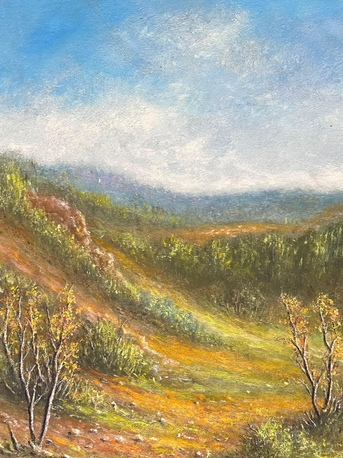 Jean Fourieautumnal Green And Orange Riverside Valley Oil Landscape Painting photo for sale
