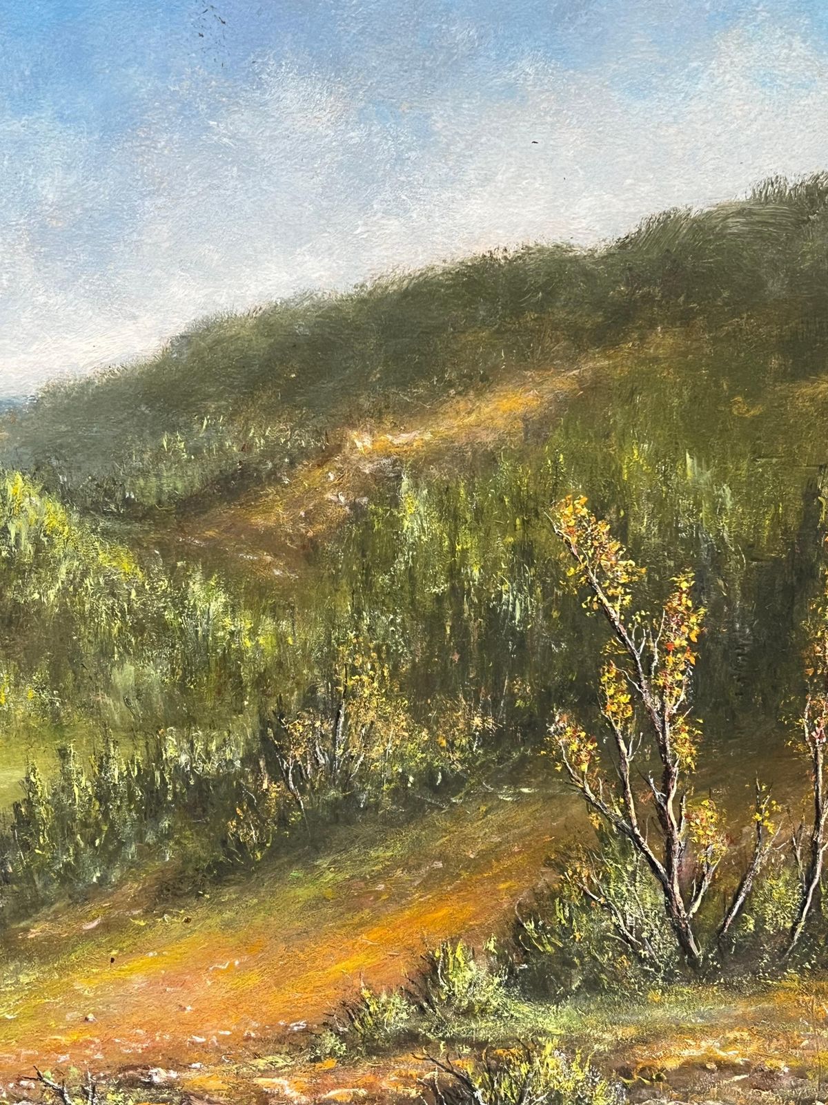 Jean Fourieautumnal Green And Orange Riverside Valley Oil Landscape Painting photo 382.0