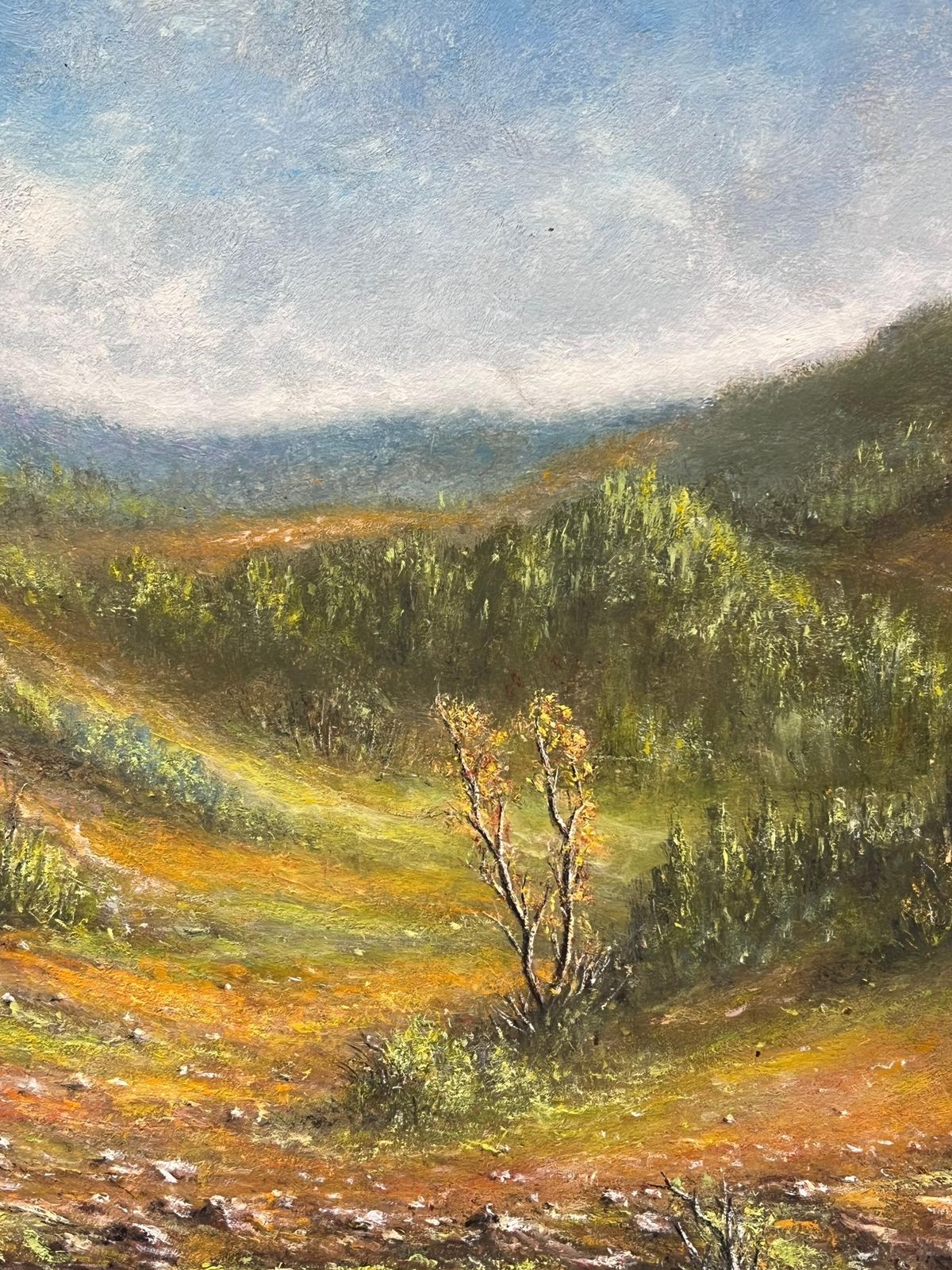 Jean Fourieautumnal Green And Orange Riverside Valley Oil Landscape Painting photo vinterior
