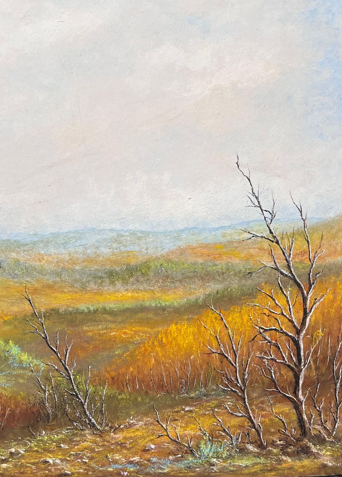Jean Fourieorange Hill Valleys Under Blue Cloudy Skies Oil Landscape Painting photo for sale