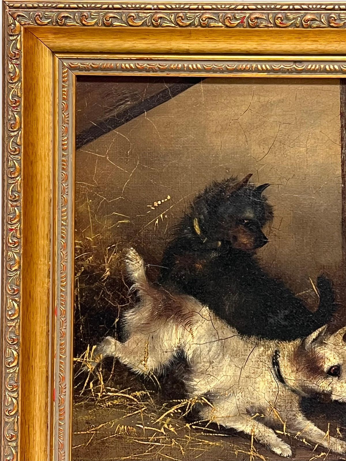 Frank Cassellfine Victorian Dog Oil Painting Terriers Chasing Rat In Barn Stable Interior photo 1223.0