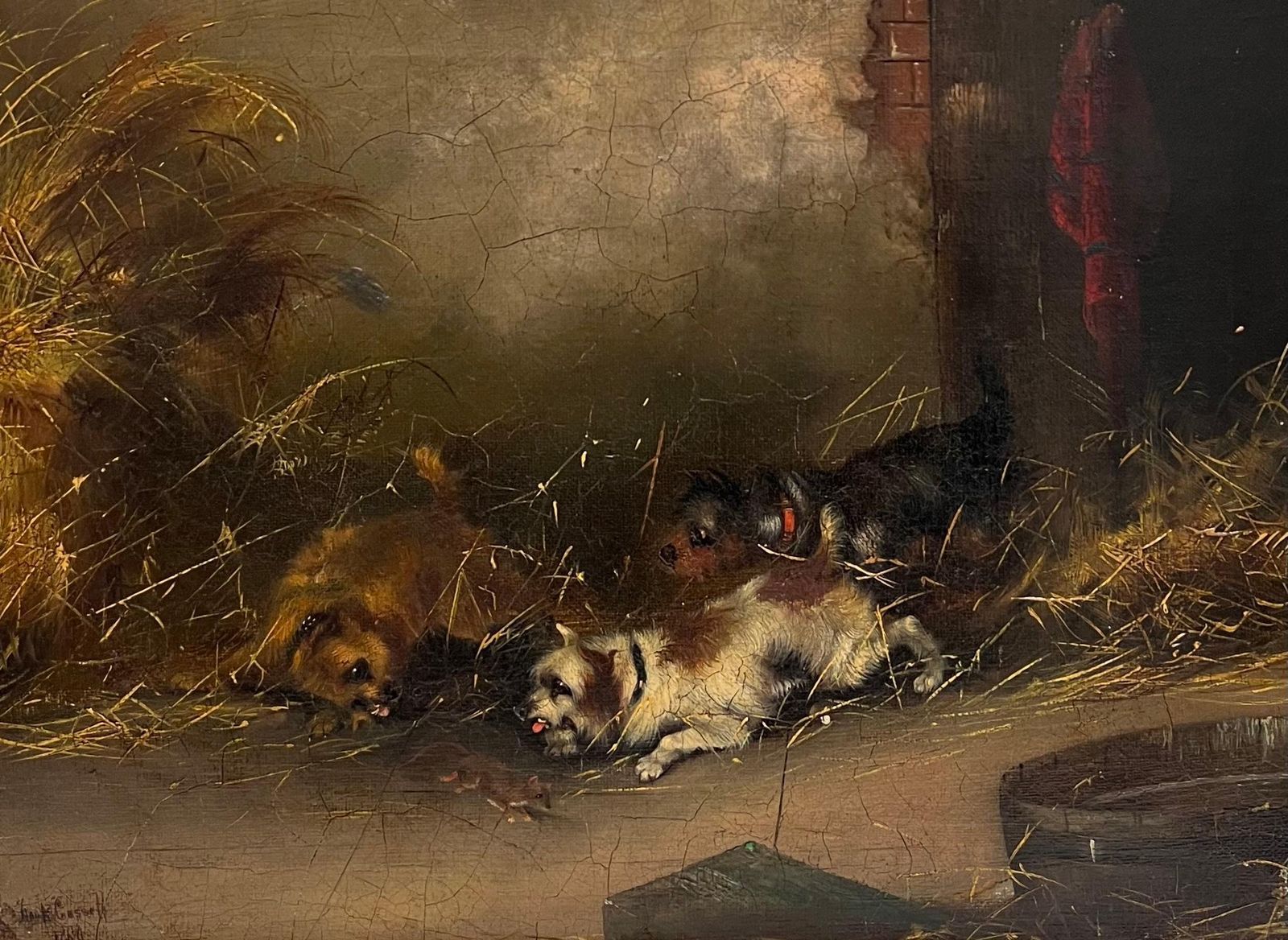Frank Cassellantique English Sporting Art Oil Painting Terrier Dogs Ratting In Barn Stable1889 photo furniture