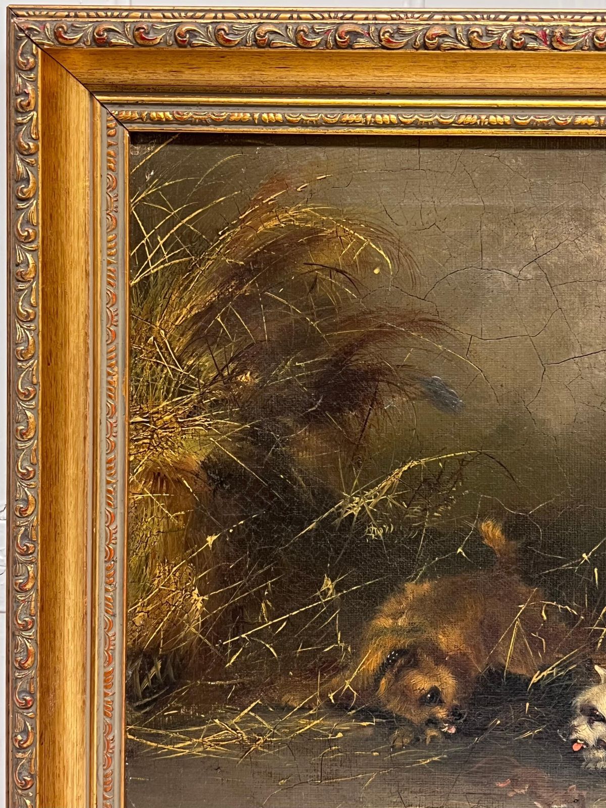 Frank Cassellantique English Sporting Art Oil Painting Terrier Dogs Ratting In Barn Stable1889 photo Art