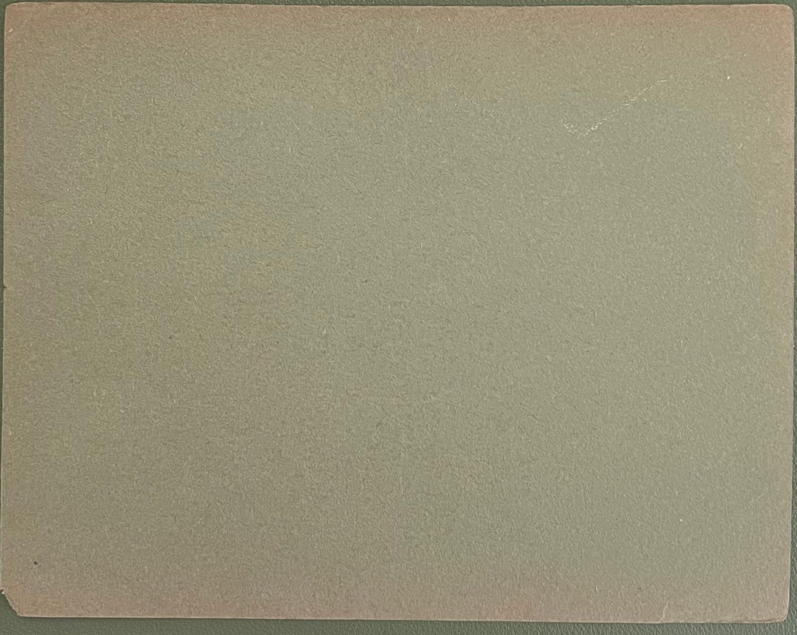 John Rabone Harveybritish Chalk Pencil Sketches Of Cows And Calfs In Field1966 photo for sale