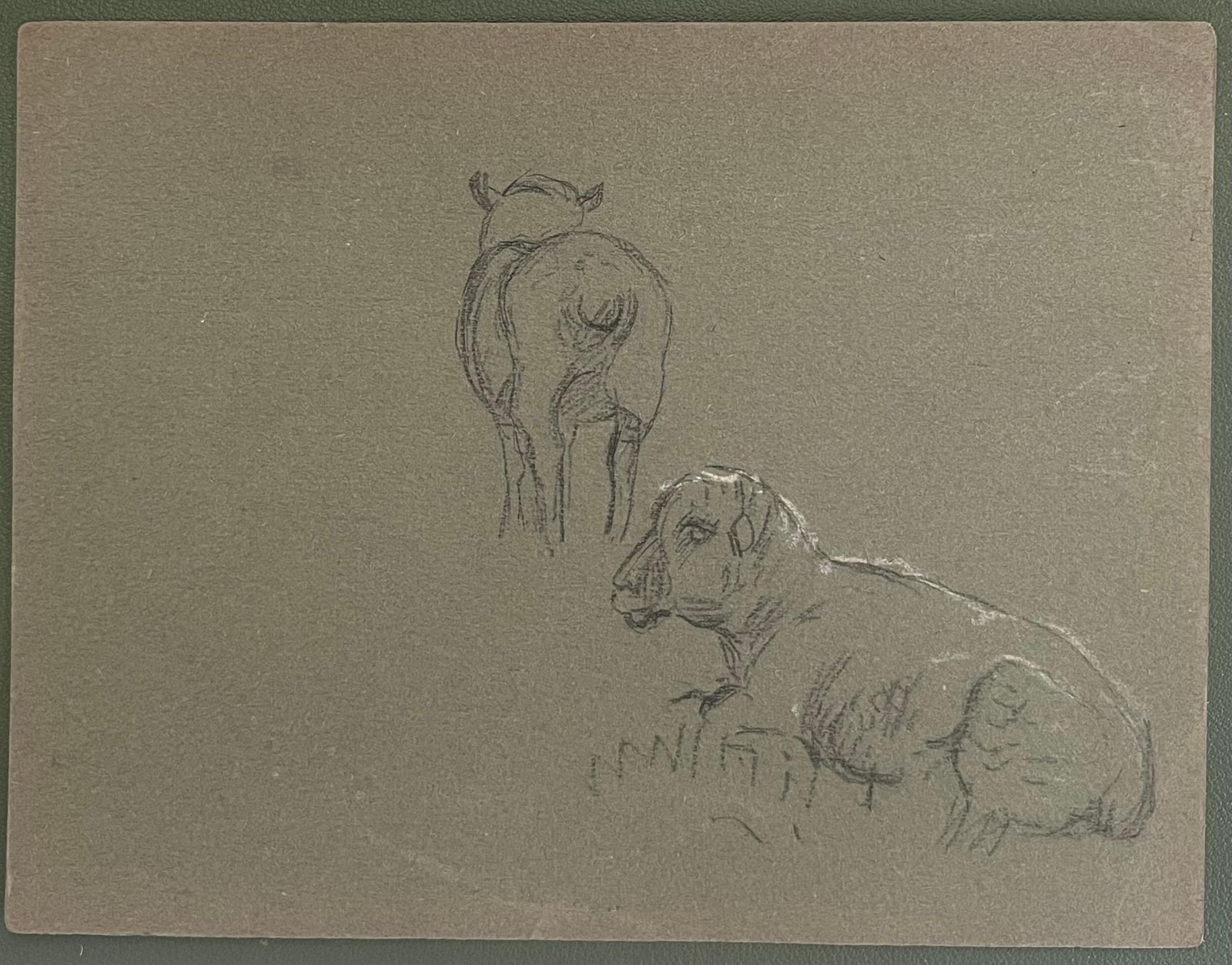 John Rabone Harveybritish Chalk Pencil Sketches Of Two Sheep Standing And Lying On The Grass1966 photo furniture