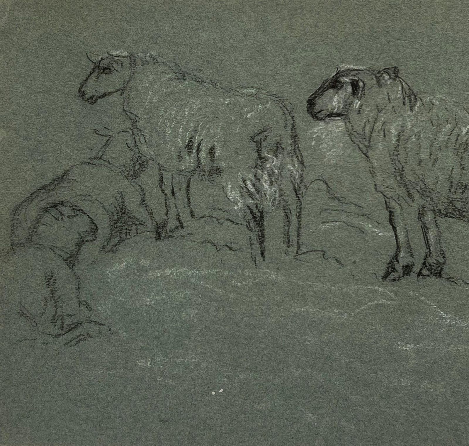 John Rabone Harveybritish Chalk Pencil Sketch Sheep Roaming In And Munching In The Field1966 photo Art
