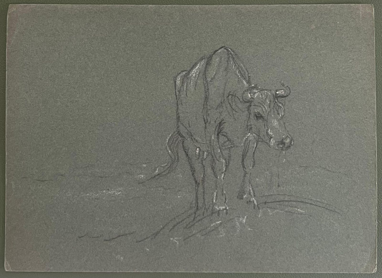 John Rabone Harveybritish Chalk Pencil Sketch Of A Cow Climbing The Hill To Water1966 photo furniture