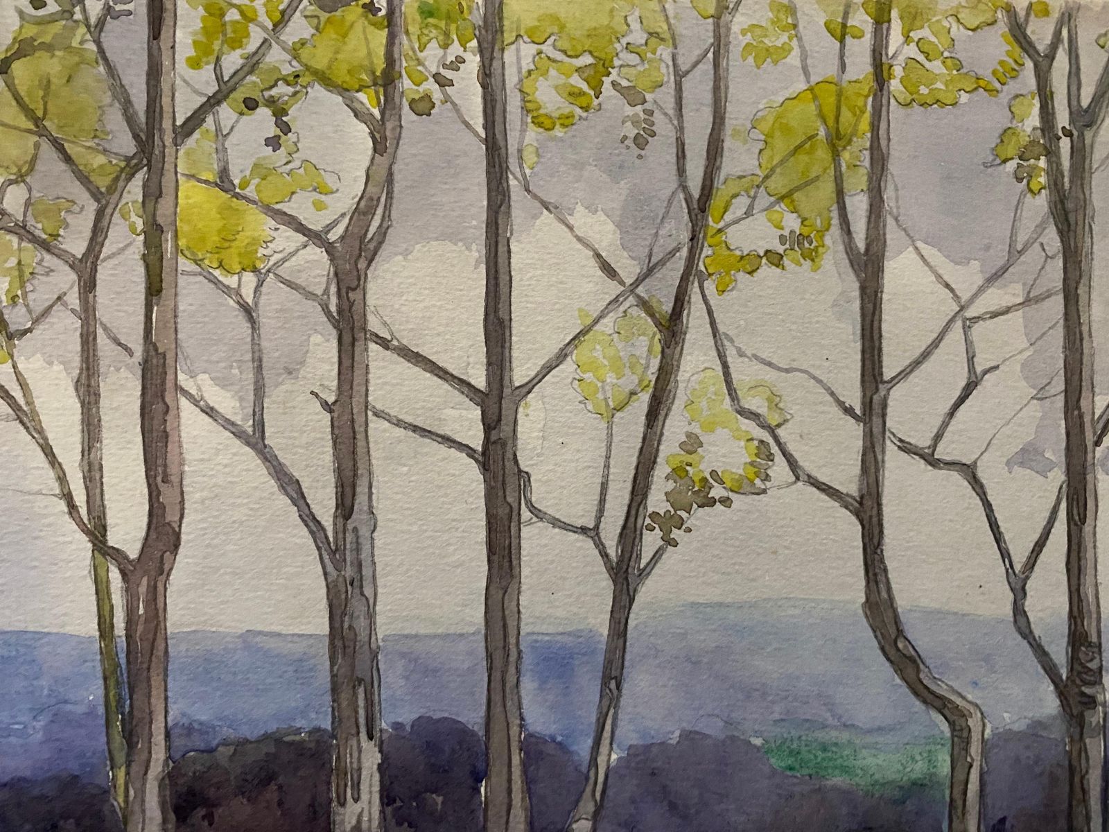 Unknown1900's English Impressionist Watercolor Painting Dancing Trees In The Windcirca 1900s photo for sale