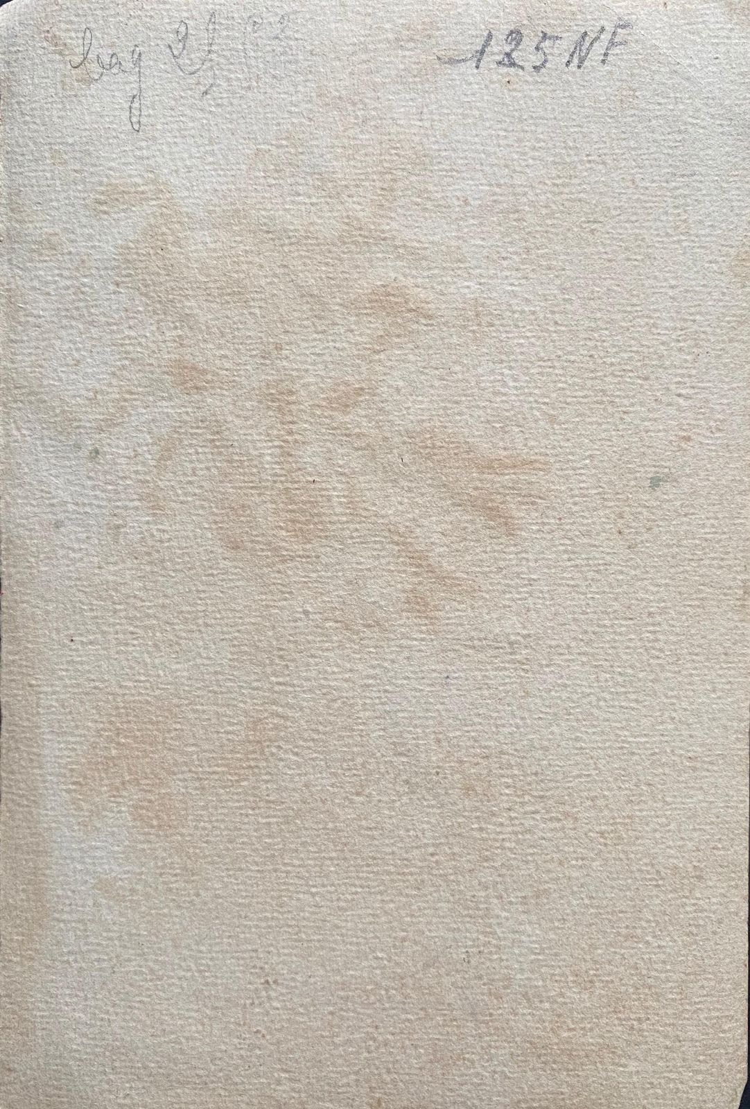 Unknownearly 1900's French Impressionist Signed Flower Watercolour By Marie Carreaucirca 1900s photo vinterior